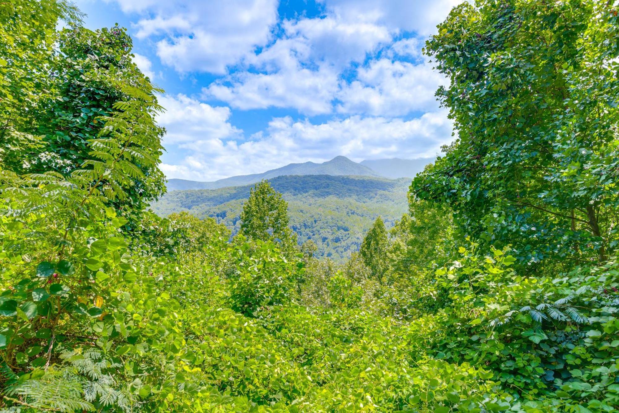Smoky Mountain About 1 Mi To Park!